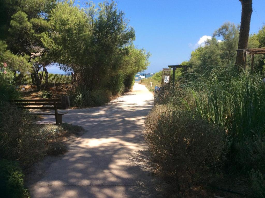 Badine 5p Piscine Balneo Clim Jardin Exotique * Hyères