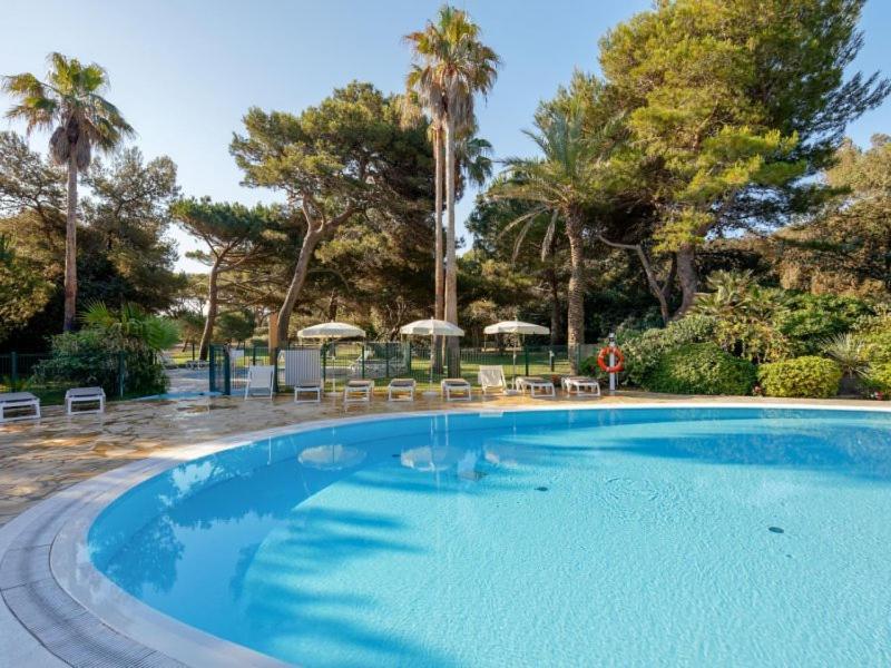 Badine 5p Piscine Balneo Clim Jardin Exotique * Hyeres