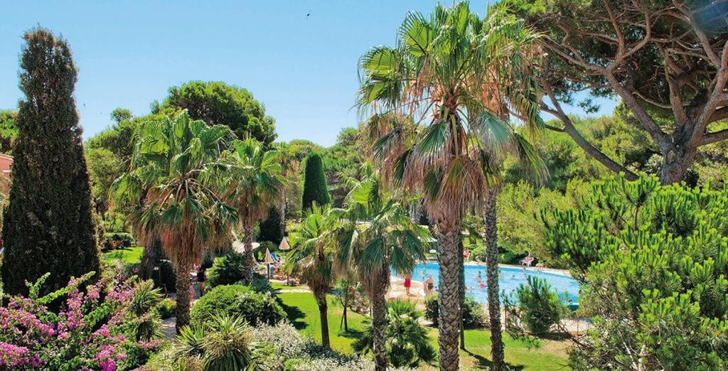 Badine 5p Piscine Balneo Clim Jardin Exotique Apartment