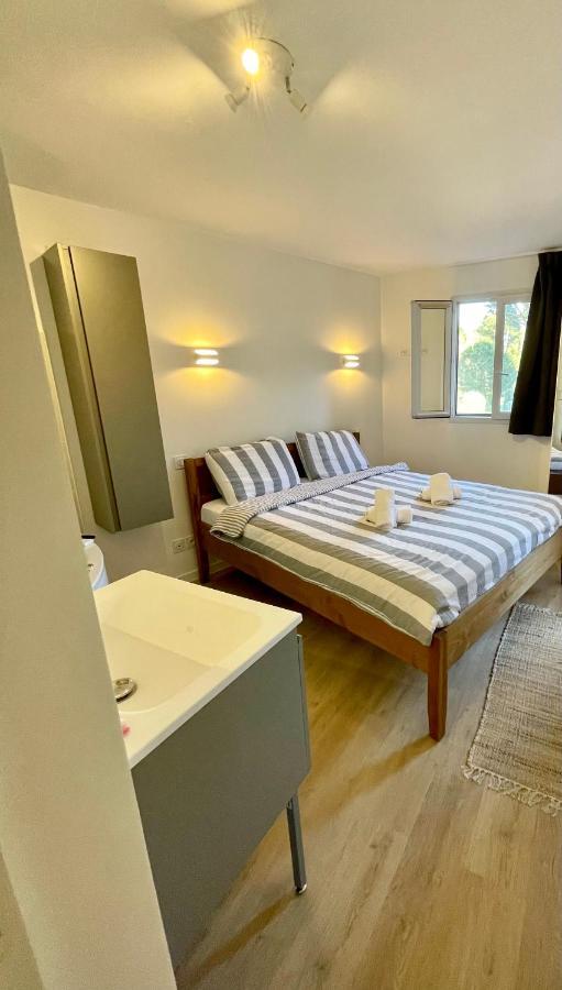 Appartement Badine 5p Piscine Balneo Clim Jardin Exotique Hyères