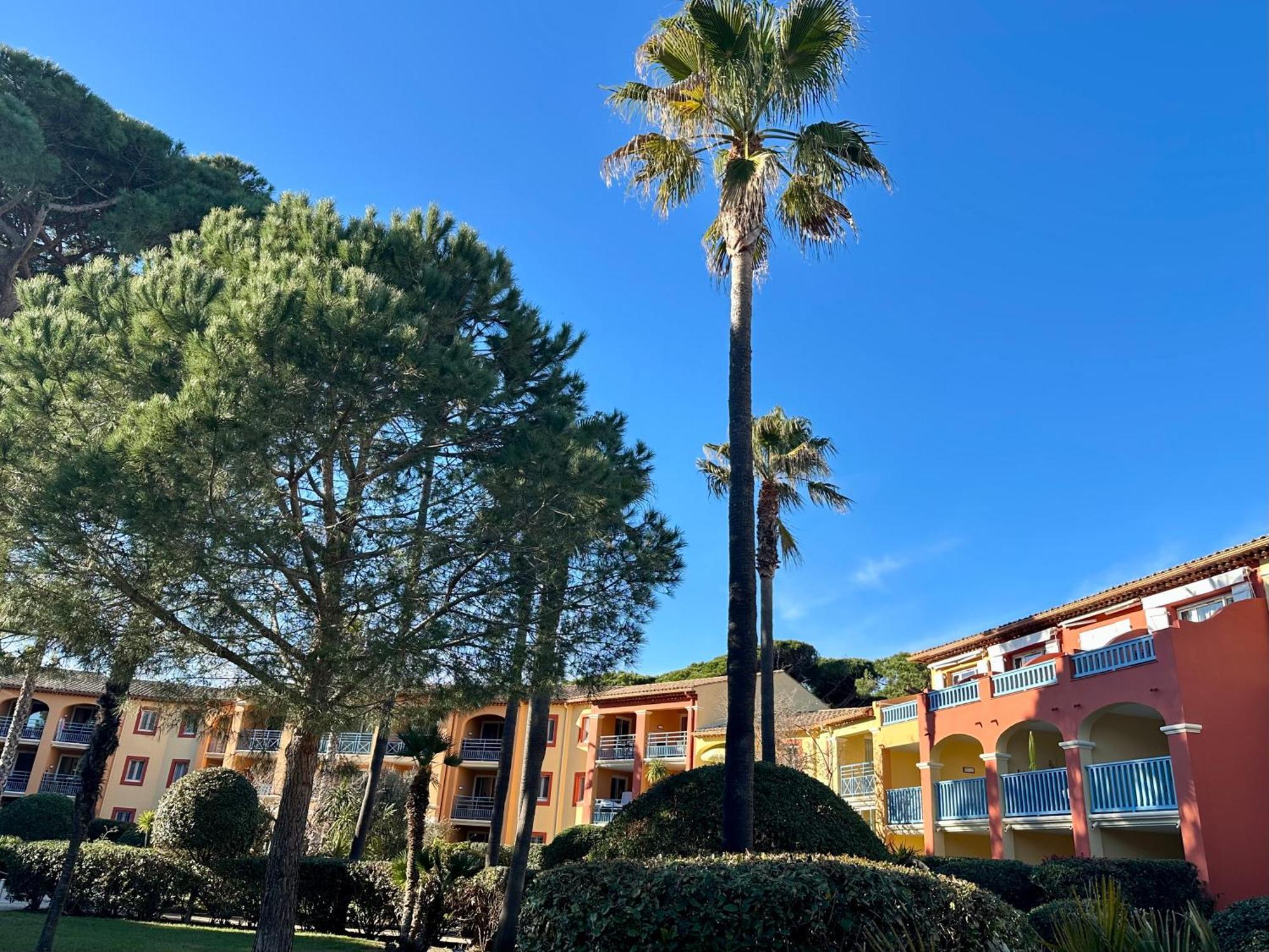 Apartment Badine 5p Piscine Balneo Clim Jardin Exotique Hyeres