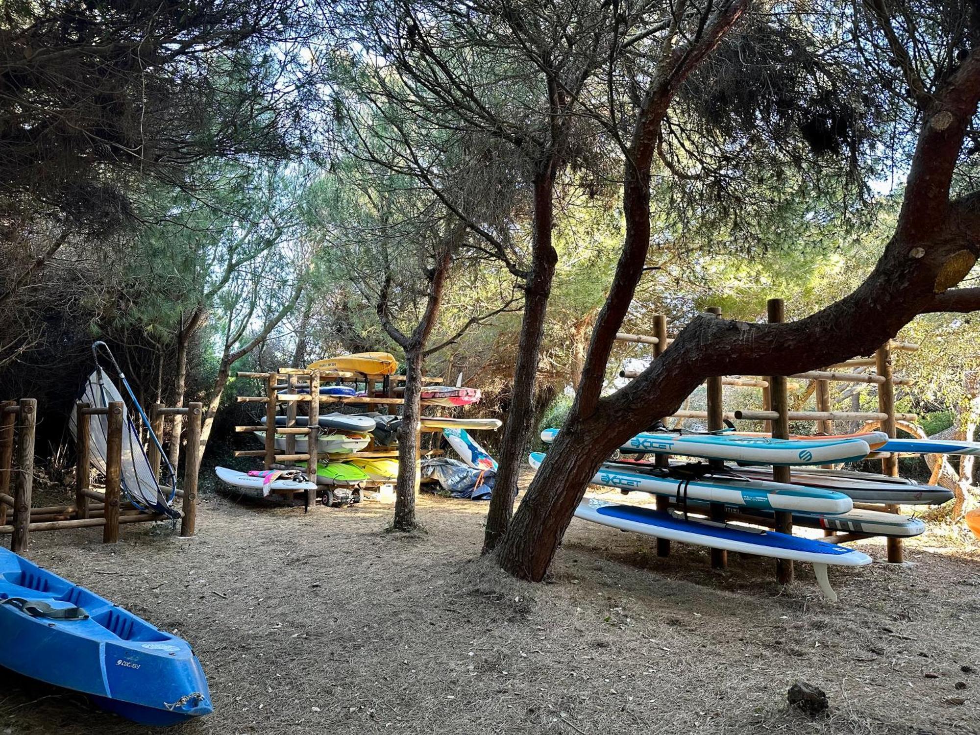 Badine 5p Piscine Balneo Clim Jardin Exotique Apartment Hyeres