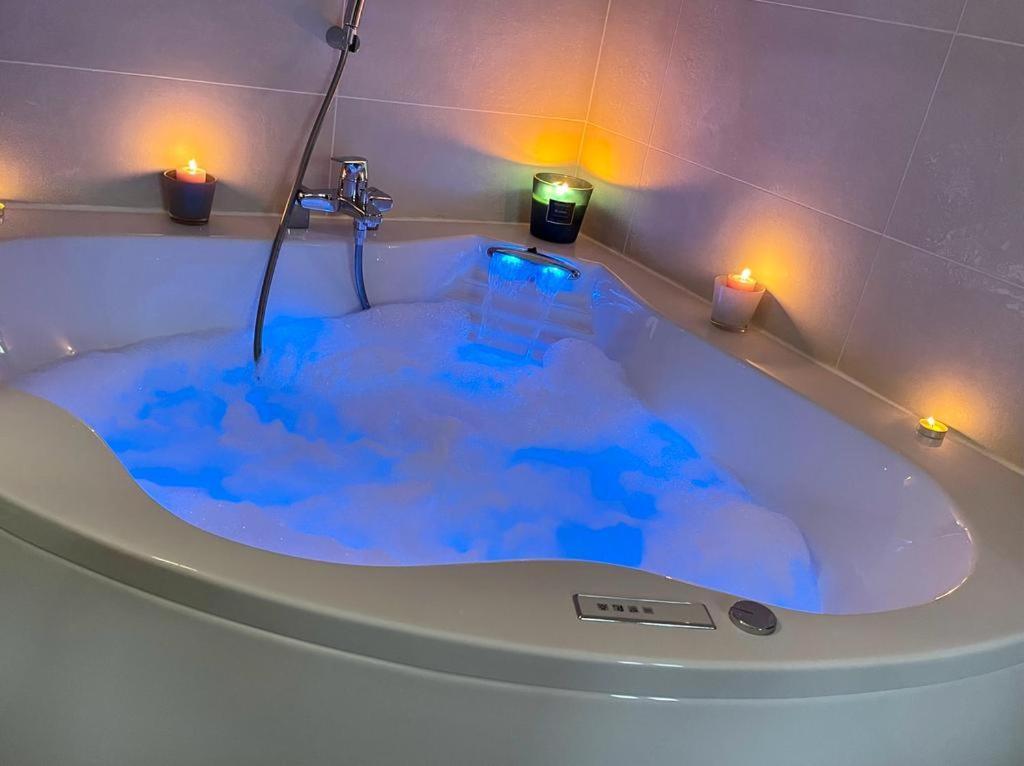 Badine 5p Piscine Balneo Clim Jardin Exotique *